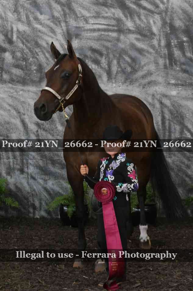 Proof 21YN_26662