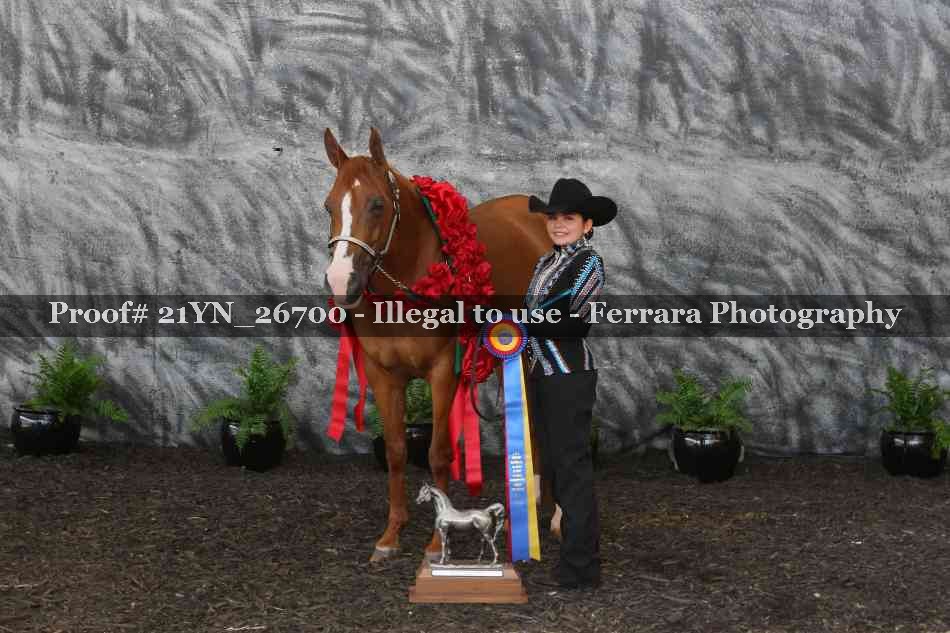Proof 21YN_26700