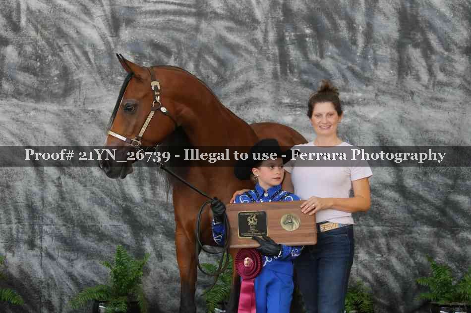 Proof 21YN_26739
