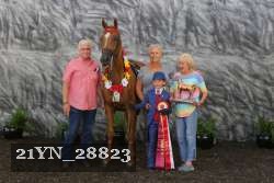 21YN_28823 proof