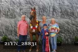 21YN_28831 proof