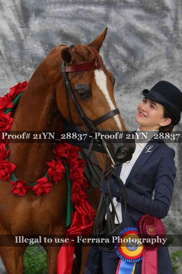 Proof 21YN_28837