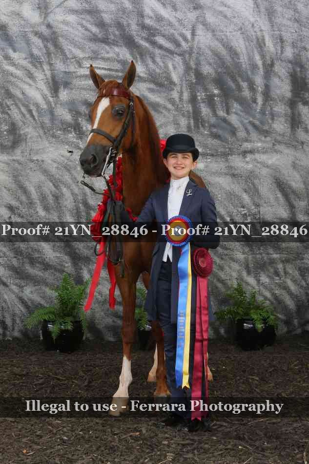Proof 21YN_28846