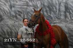 21YN_28862 proof