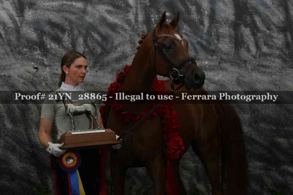 Proof 21YN_28865