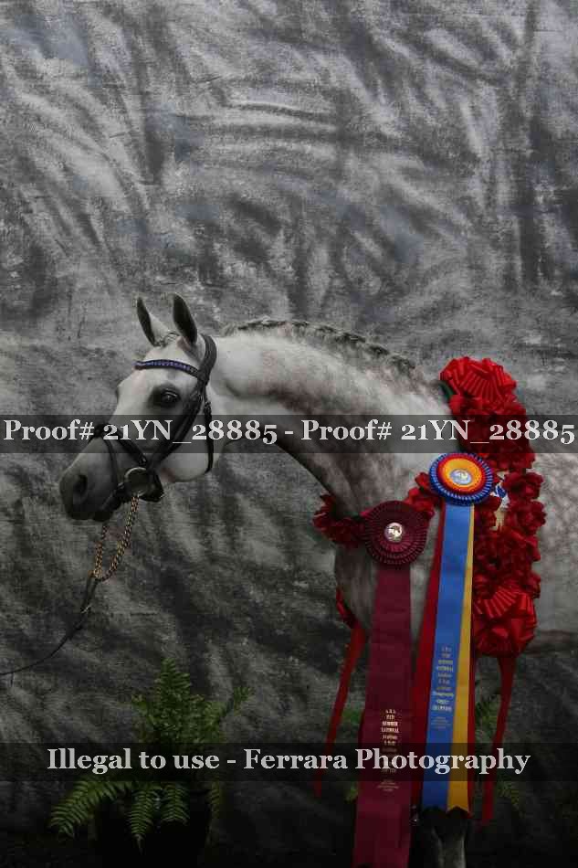 Proof 21YN_28885