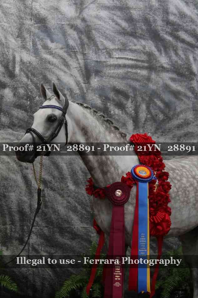 Proof 21YN_28891