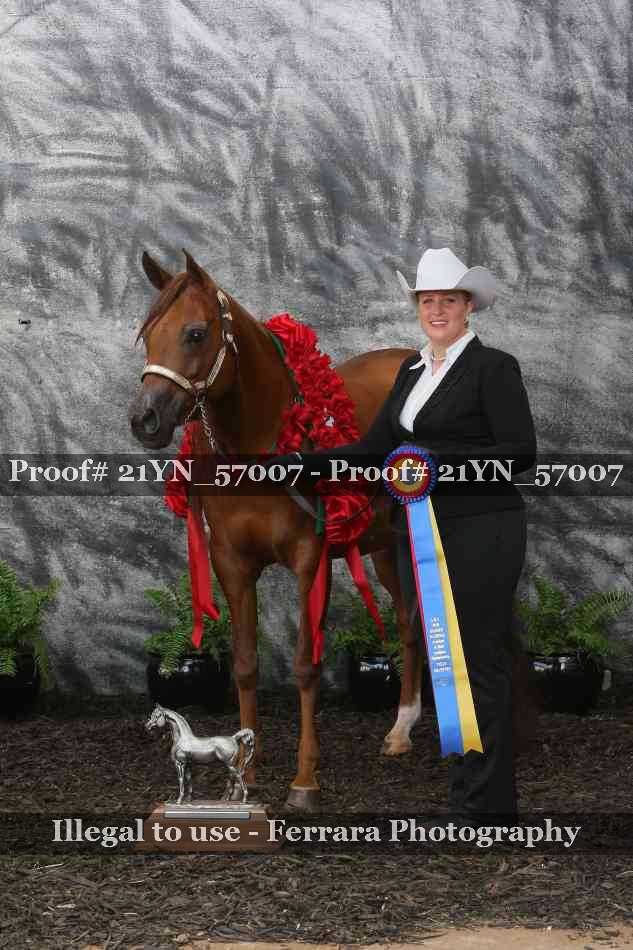Proof 21YN_57007