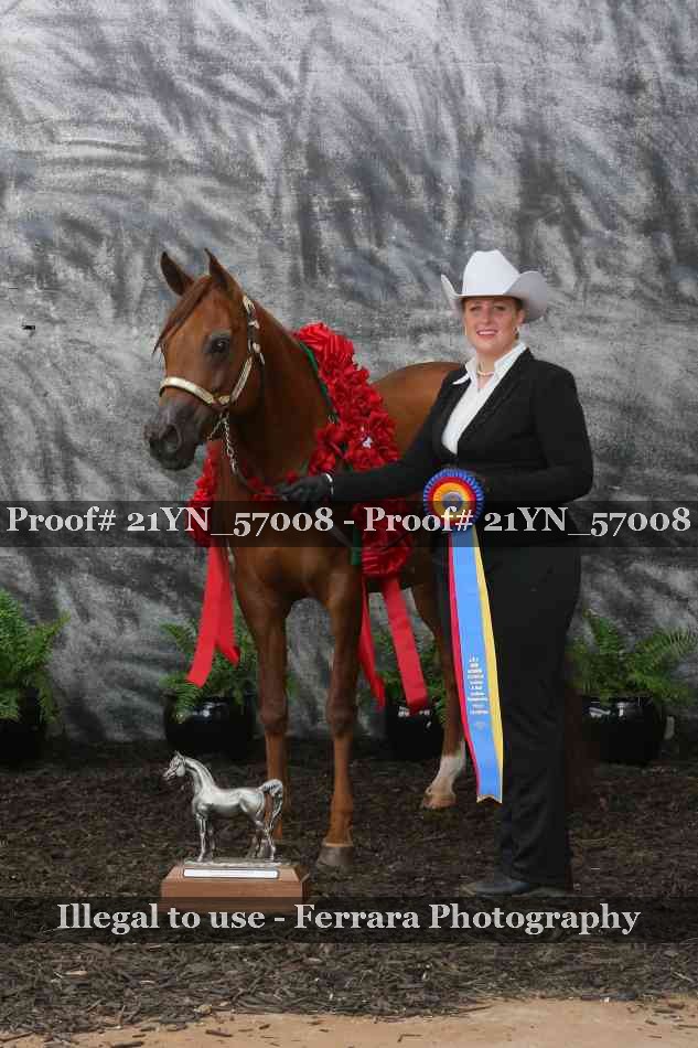 Proof 21YN_57008