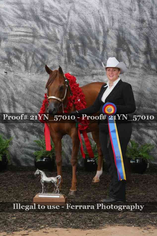 Proof 21YN_57010