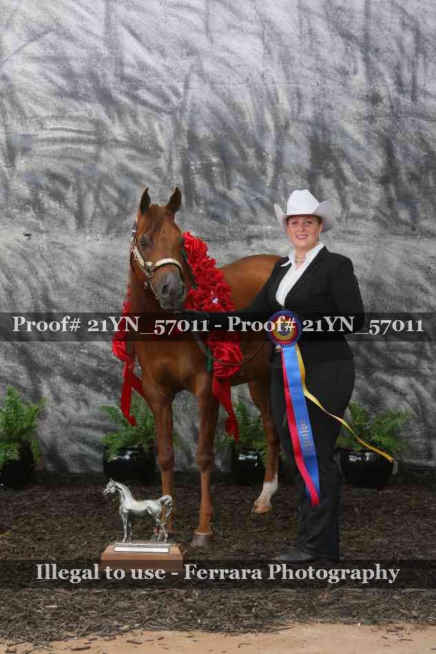 Proof 21YN_57011