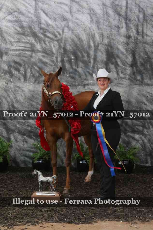 Proof 21YN_57012