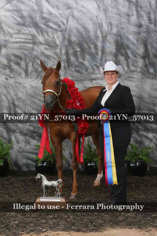 Proof 21YN_57013