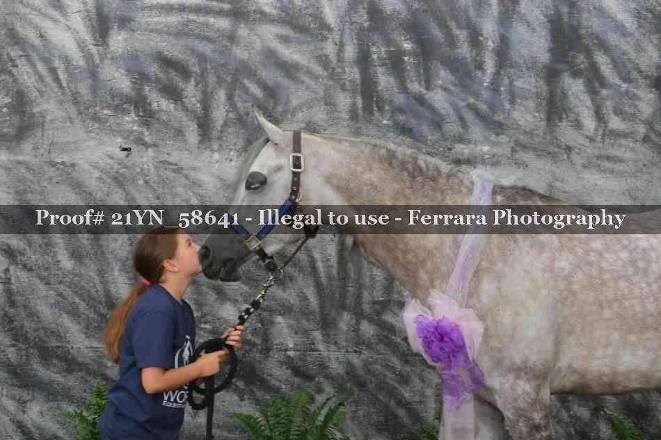 Proof 21YN_58641