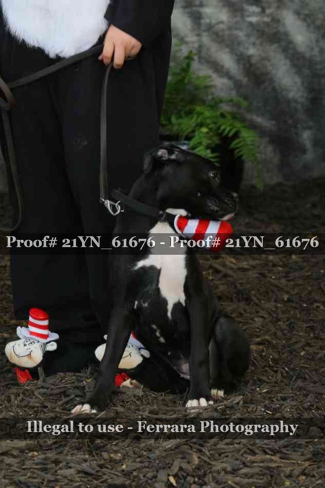Proof 21YN_61676