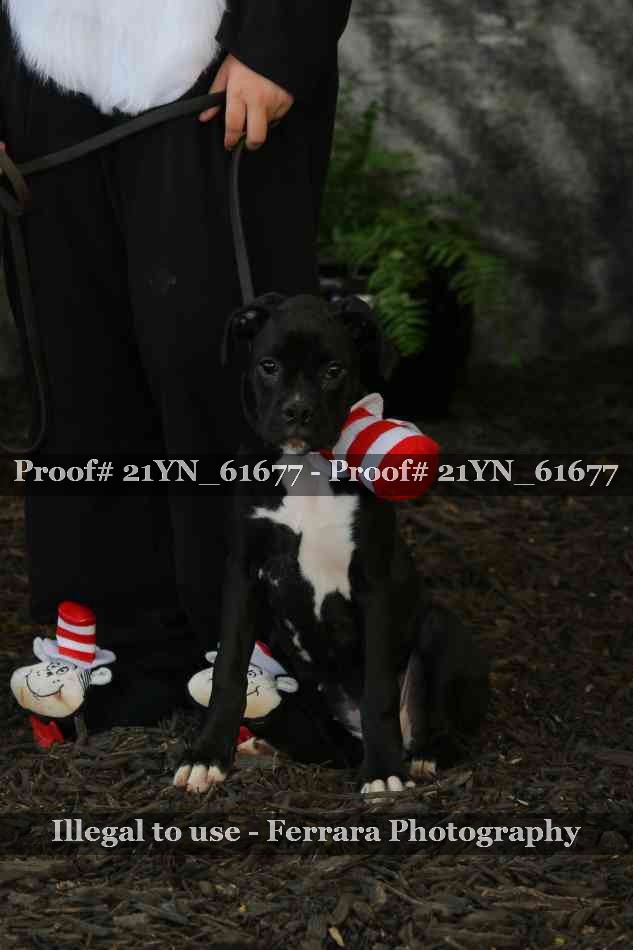 Proof 21YN_61677