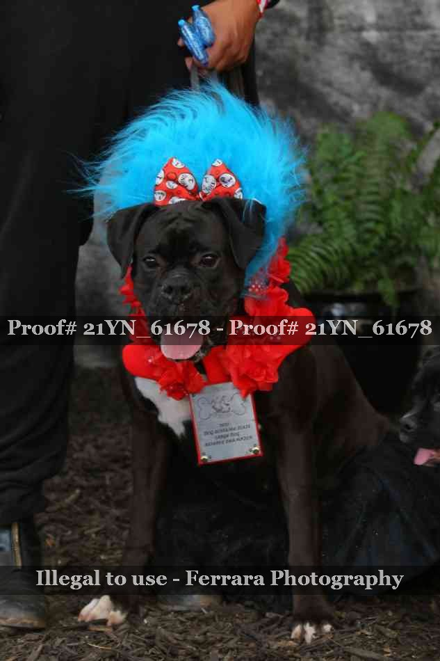 Proof 21YN_61678