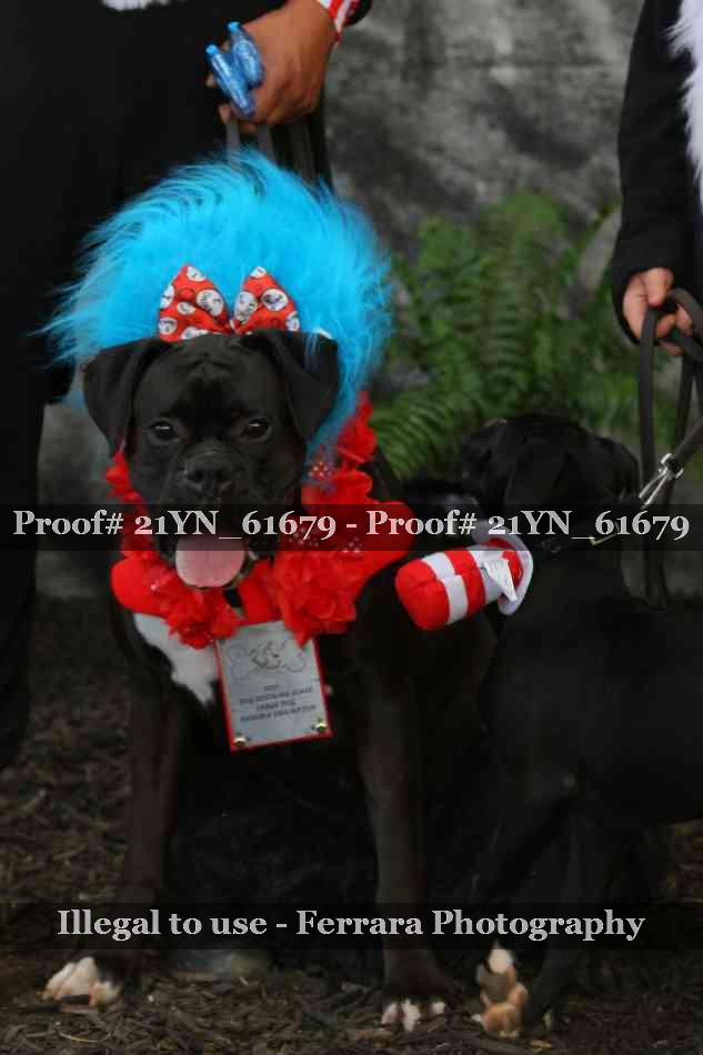 Proof 21YN_61679