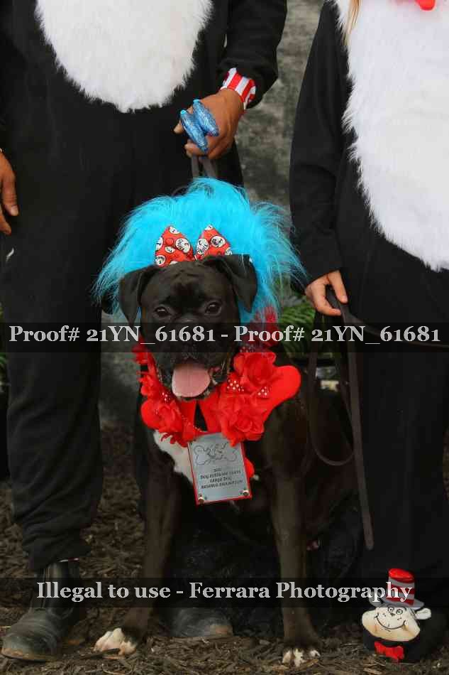Proof 21YN_61681