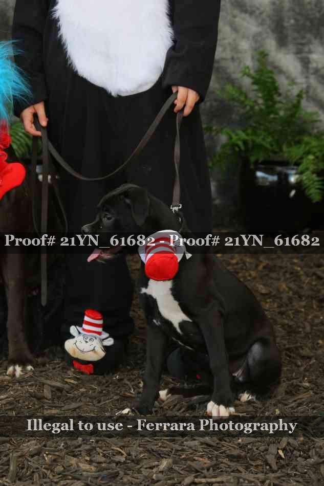 Proof 21YN_61682