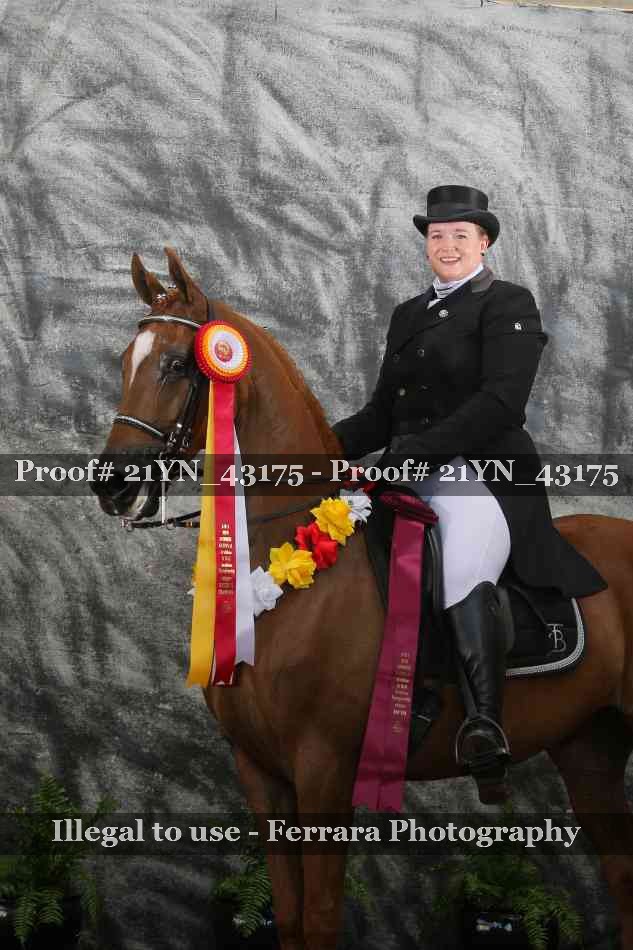 Proof 21YN_43175