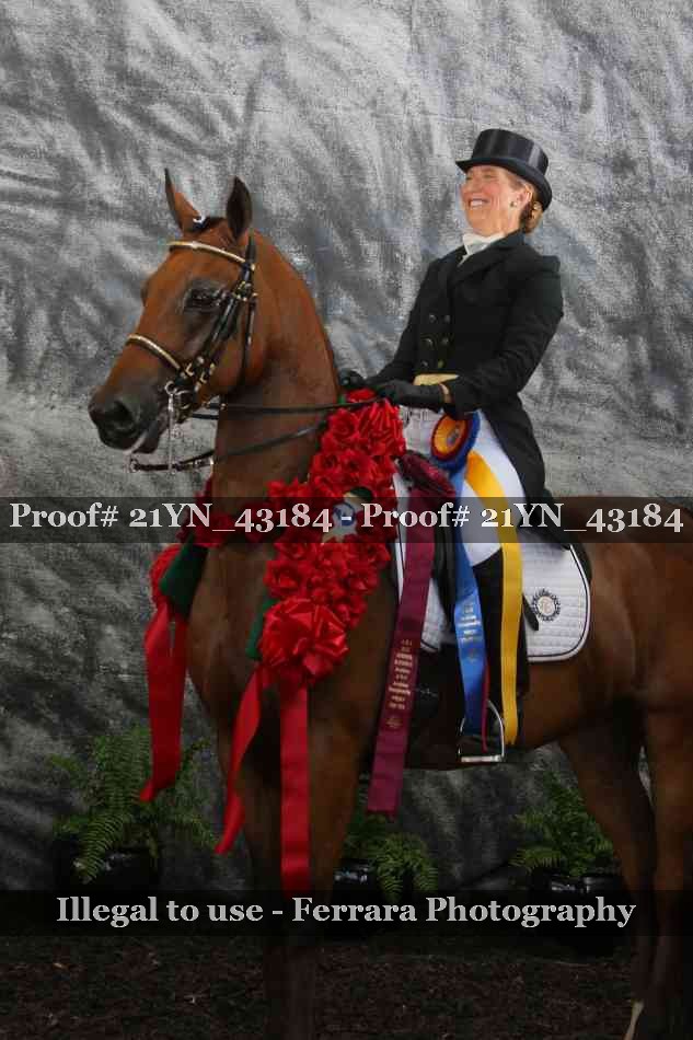 Proof 21YN_43184