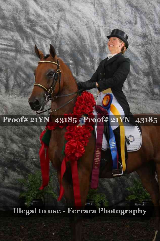 Proof 21YN_43185
