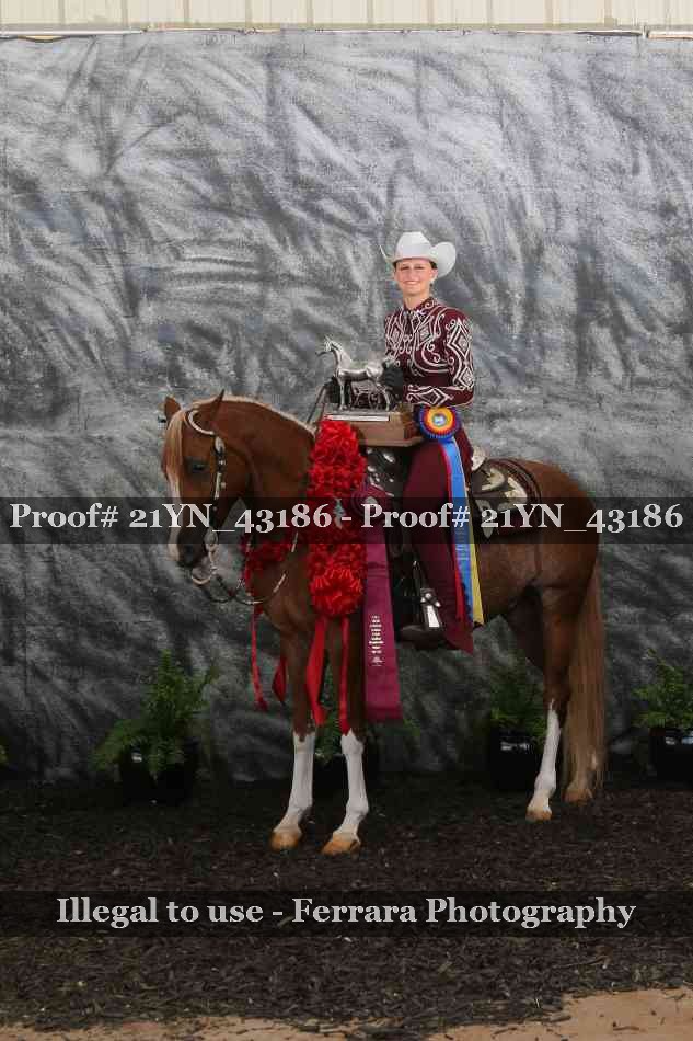 Proof 21YN_43186