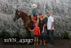 21YN_43237 proof
