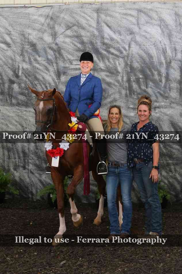 Proof 21YN_43274