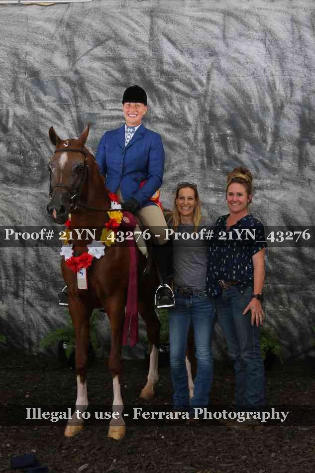 Proof 21YN_43276