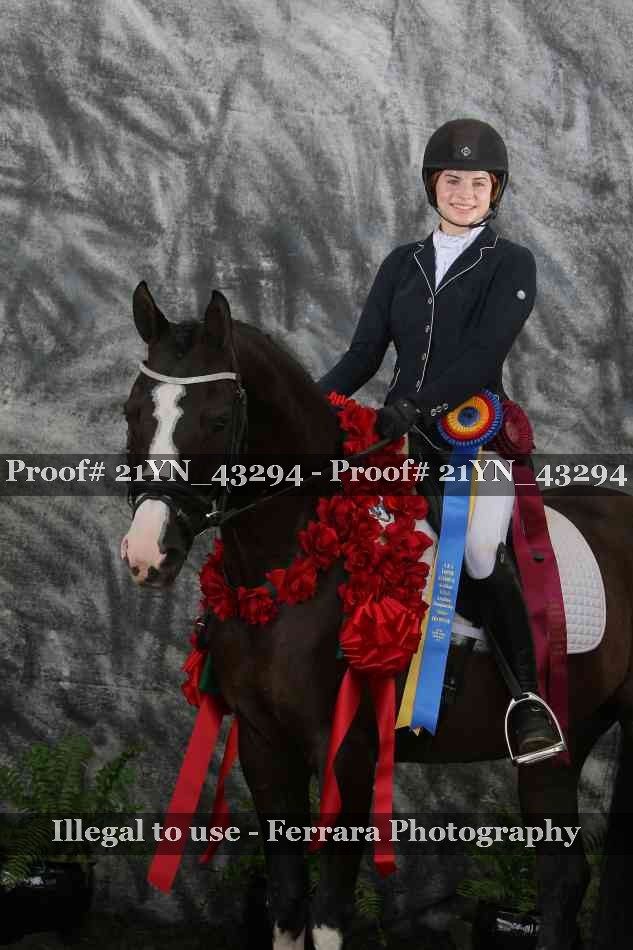 Proof 21YN_43294