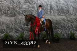 21YN_43382 proof