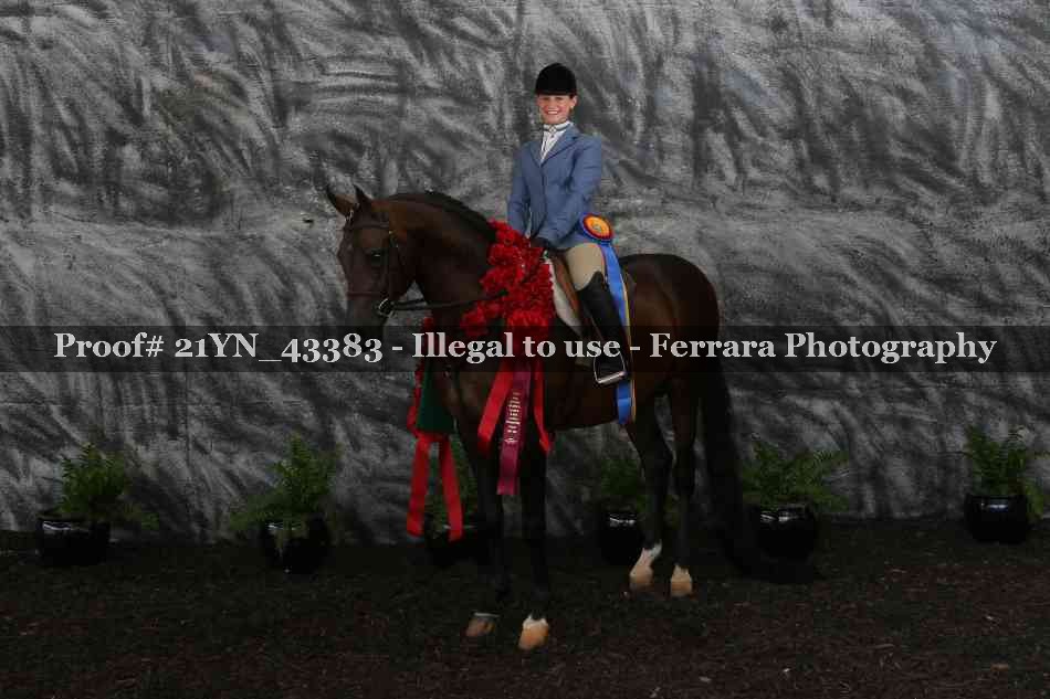 Proof 21YN_43383