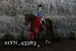 21YN_43383 proof