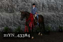21YN_43384 proof