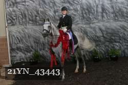 21YN_43443 proof