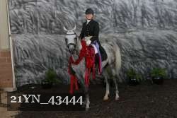 21YN_43444 proof