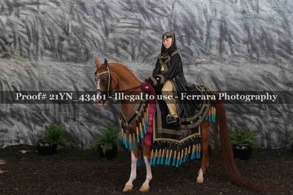 Proof 21YN_43461