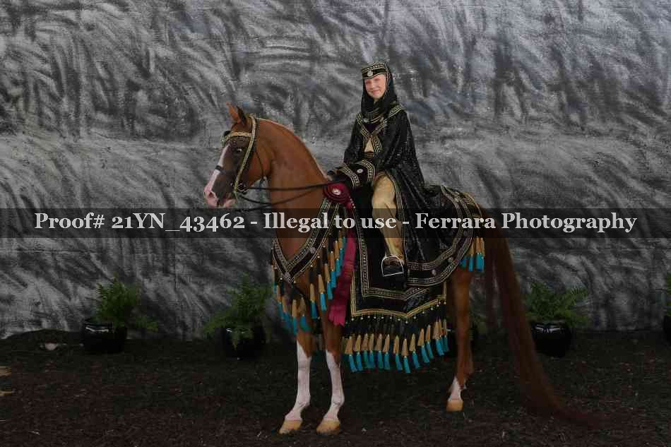 Proof 21YN_43462
