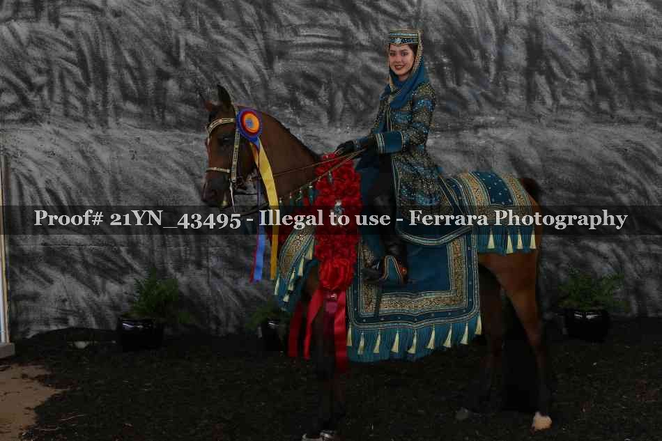 Proof 21YN_43495