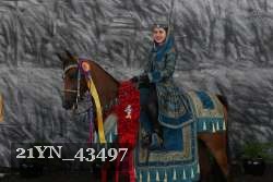 21YN_43497 proof