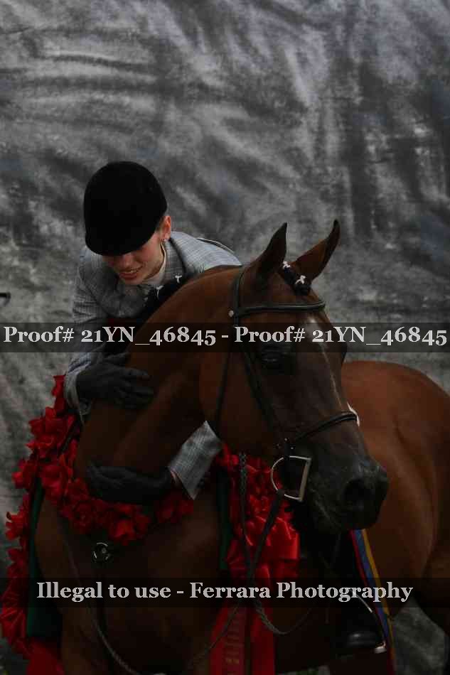 Proof 21YN_46845