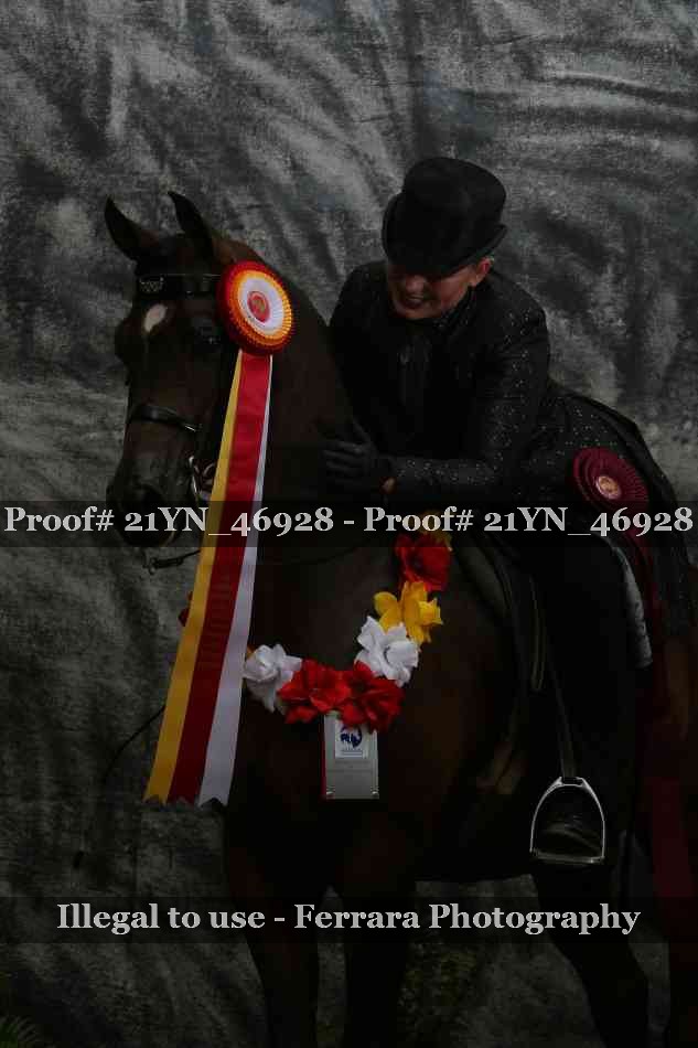 Proof 21YN_46928
