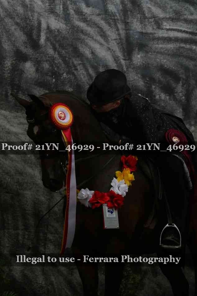 Proof 21YN_46929