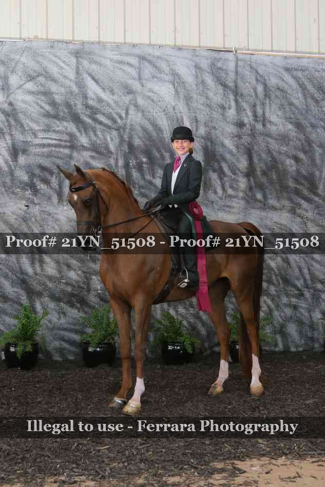 Proof 21YN_51508