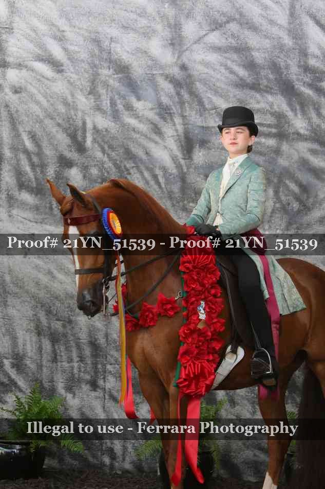 Proof 21YN_51539