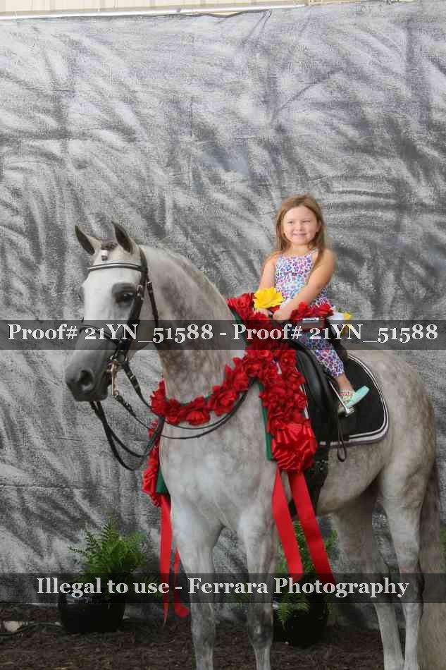 Proof 21YN_51588