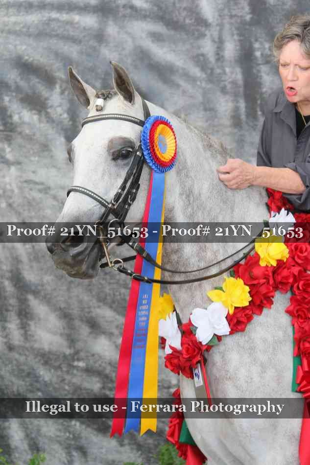 Proof 21YN_51653