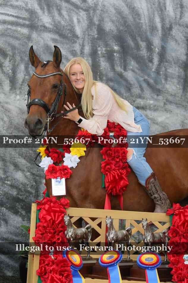 Proof 21YN_53667